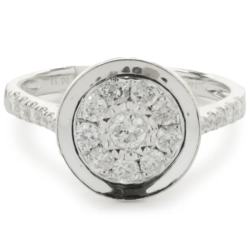 14 Karat White Gold Diamond Cluster with Mirror Halo