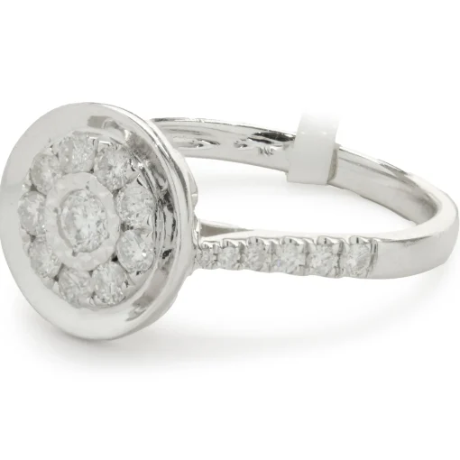14 Karat White Gold Diamond Cluster with Mirror Halo