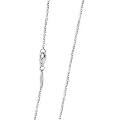 14 Karat White Gold Diamond Horseshoe Necklace