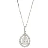 14 Karat White Gold Pear Diamond Halo Necklace