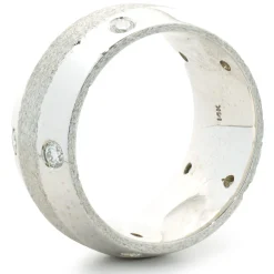 14 Karat White Gold Sprinkled Diamond Band