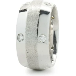 14 Karat White Gold Sprinkled Diamond Band