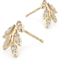 14 Karat Yellow Gold Diamond Floral Stud Earrings