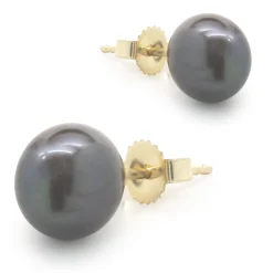 14 Karat Yellow Gold Tahitian Pearl Stud Earrings