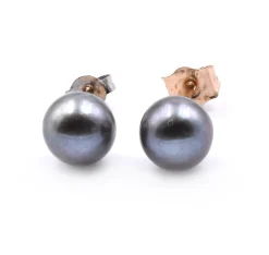 14 Karat Yellow Gold Tahitian Pearl Stud Earrings