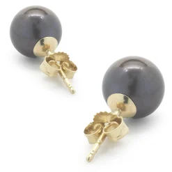 14 Karat Yellow Gold Tahitian Pearl Stud Earrings
