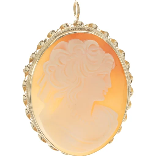14 Karat Yellow Gold Vintage Framed Cameo Pin